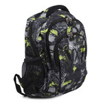 Название: РЮКЗАК PULSE TEENS GREEN FURRY, Артикул: 121632 43*28*22, Цена: 2 499