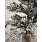 Название: ЕЛКА MEJESTIC 60СМ ЗАСНЕЖЕННАЯ С ШИШКАМИ, Артикул: 589730 Forest Market, Цена: 5 990