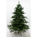 Название: ЕЛКА TORONTO SPRUCE 180СМ, Артикул: 536413 Forest Market, Цена: 19 999