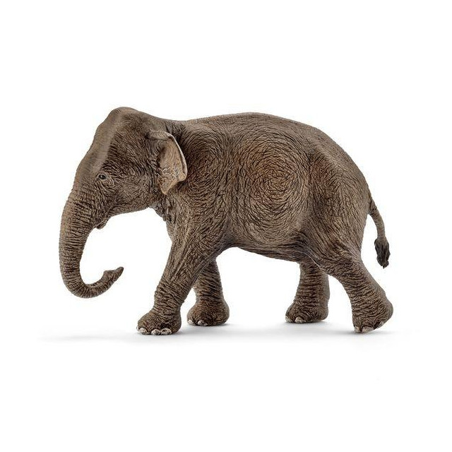 Название: АЗИАТСКИЙ СЛОН САМКА, Артикул: 14753 SCHLEICH, Цена: 1 699