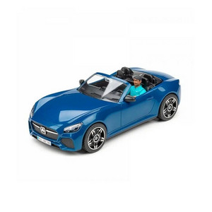 Спортивный автомобиль Roadster c водителем Спортивный автомобиль Roadster c водителем