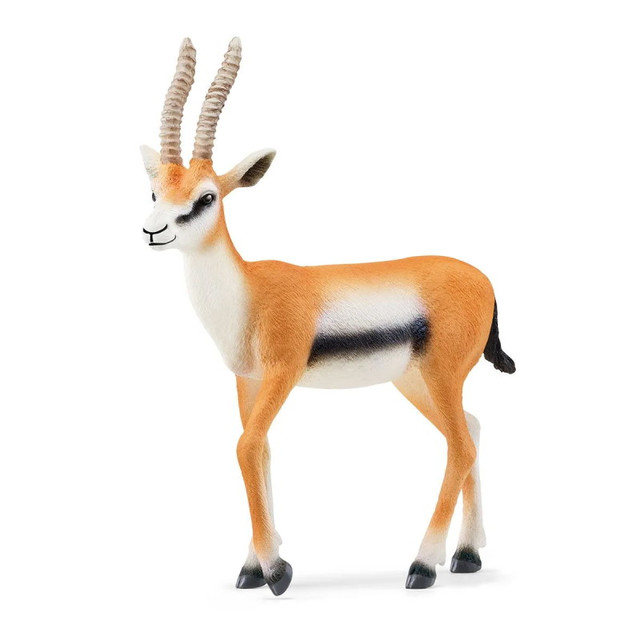 Название: Фигурка Schleich WILD LIFE - Газель Томпсона, Артикул: 14861 SCHLEICH WILD LIFE, Цена: 1 299