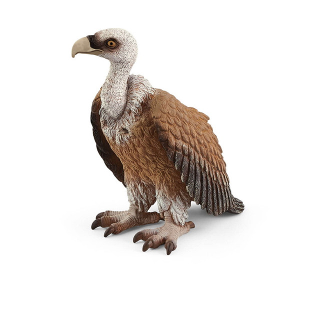 Название: Фигурка Schleich Wild Life - Гриф, Артикул: 14847 SCHLEICH, Цена: 1 299