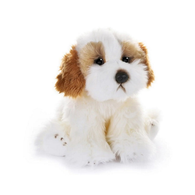 Название: Собака Кавашон, Maxitoys, Артикул: MT-TS112308-25 MAXITOYS, Цена: 2 499