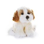 Название: Собака Кавашон, Maxitoys, Артикул: MT-TS112308-25 MAXITOYS, Цена: 2 499